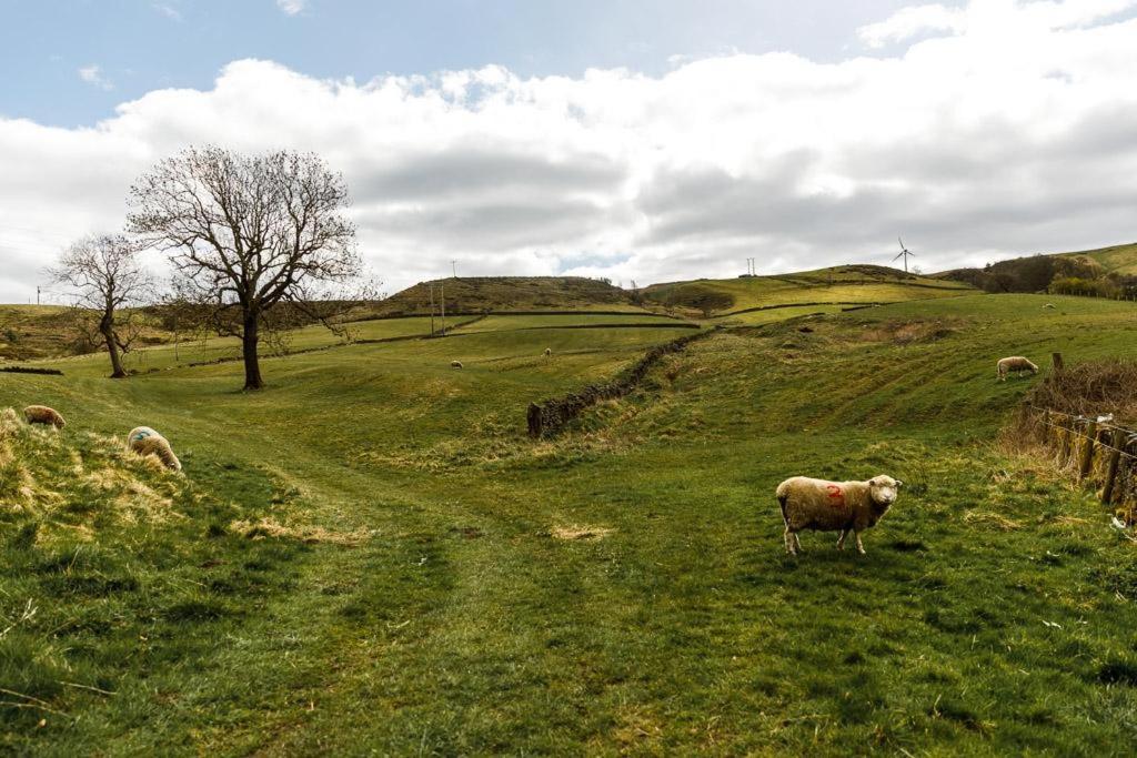 Gable Cottage - One Bed Cottage Close To Holmfirth And The Peak District Hepworth  Exteriör bild